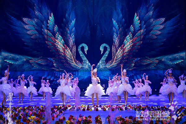 多媒体舞美 大型室内实景民族歌舞秀《千回西域》 数虎图像