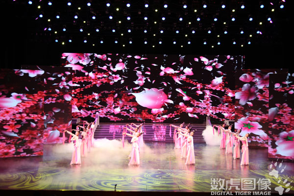 数虎打造第八届国际民间艺术节舞美影像